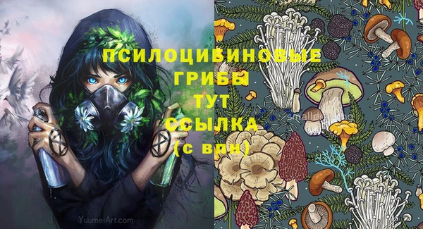 PSILOCYBIN Алзамай