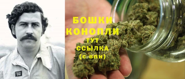 PSILOCYBIN Алзамай