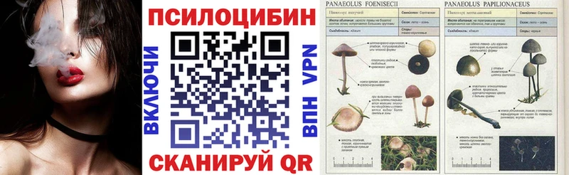 Псилоцибиновые грибы мухоморы  кракен вход  Арсеньев 